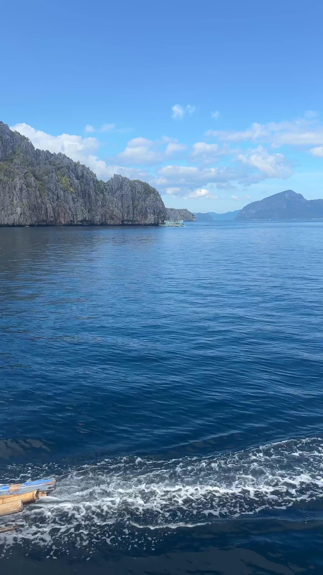 ESTABLISHING & SUPPORTING Highlights