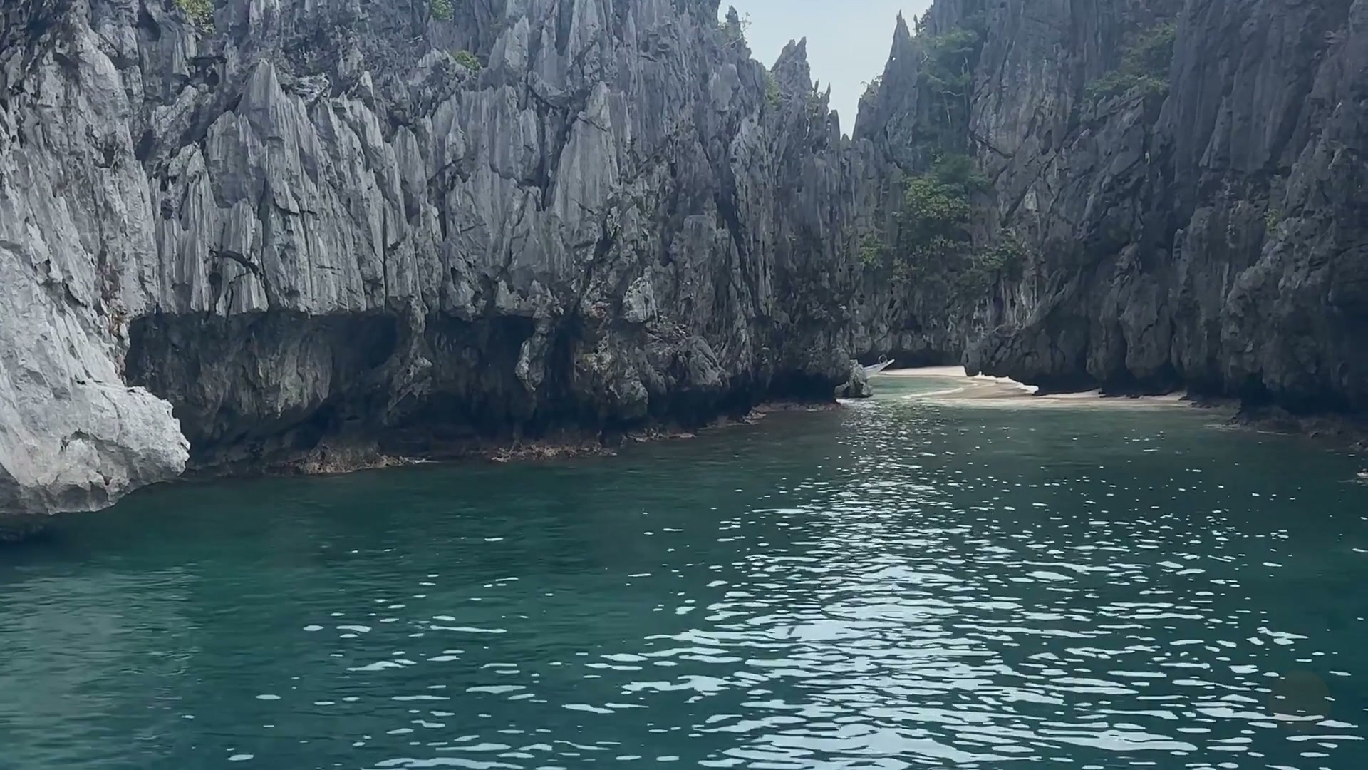 Opening Wonder & Vibrant Discovery