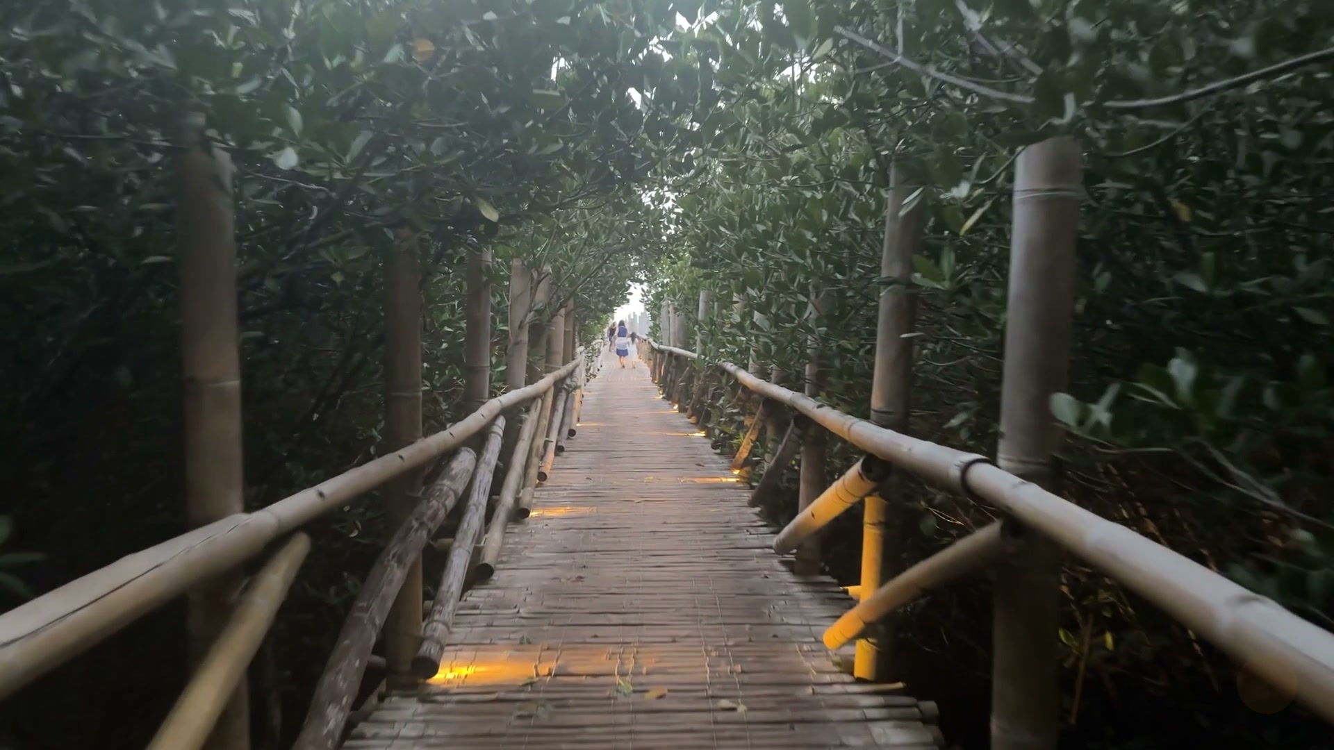 Opening Wonder & Discovery & Action