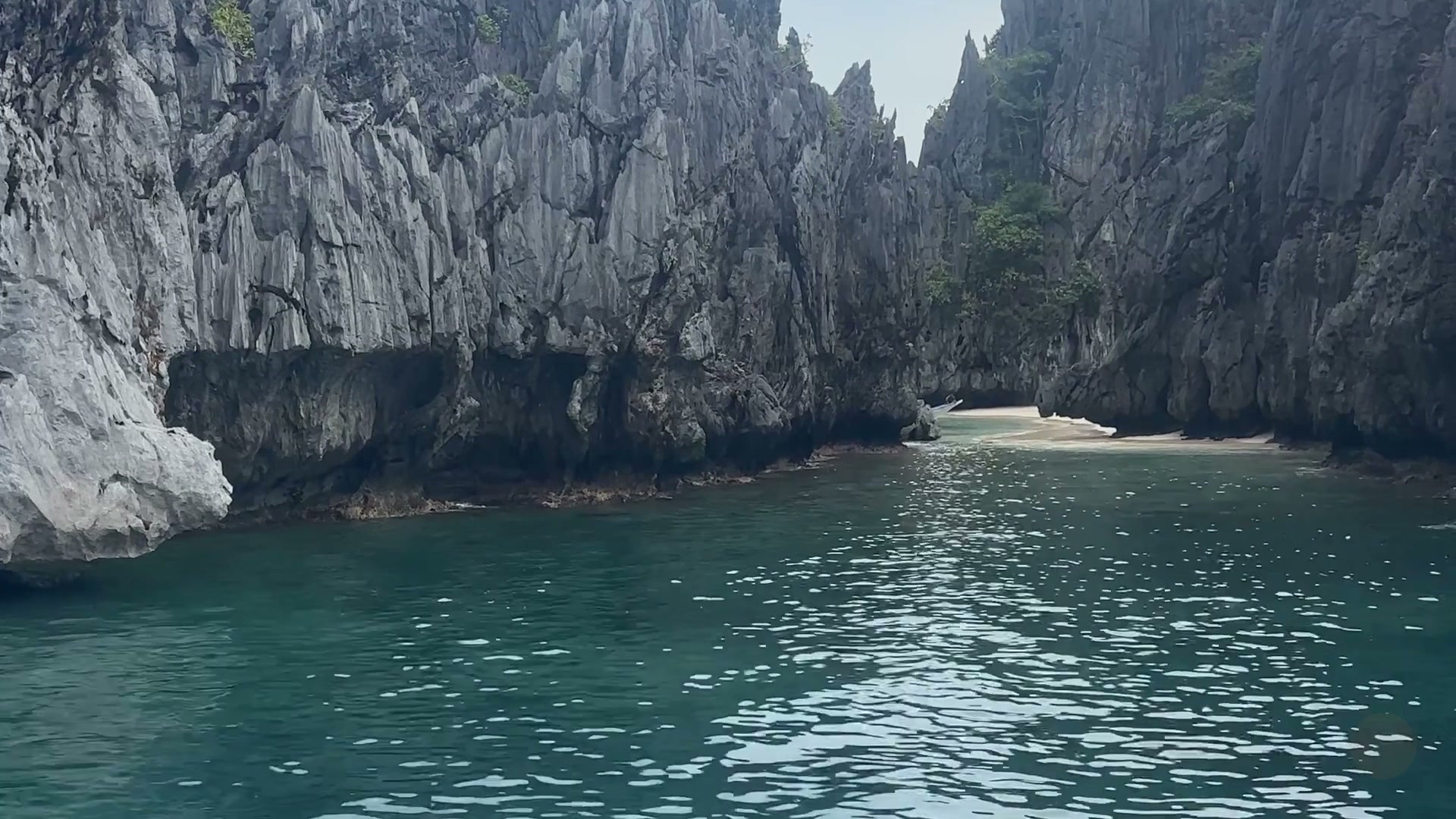 Arrival in Paradise & Vibrant Discovery